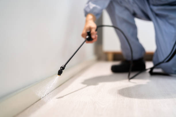 Professional exterminator conducting IPM assessment in Caldwell